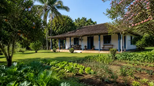 Sítio rural brasileiro com casa de madeira, árvores frutíferas e jardim